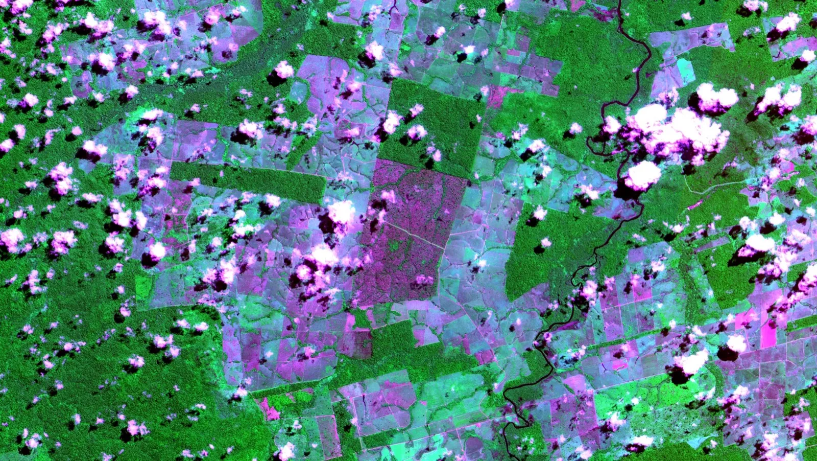 Imagem de satélite CBERS-4 em falsa cor mostrando áreas de floresta, pastagem e solo exposto por desmatamento perto de Novo Progresso, no Pará, com o Rio Jamanxim à direita