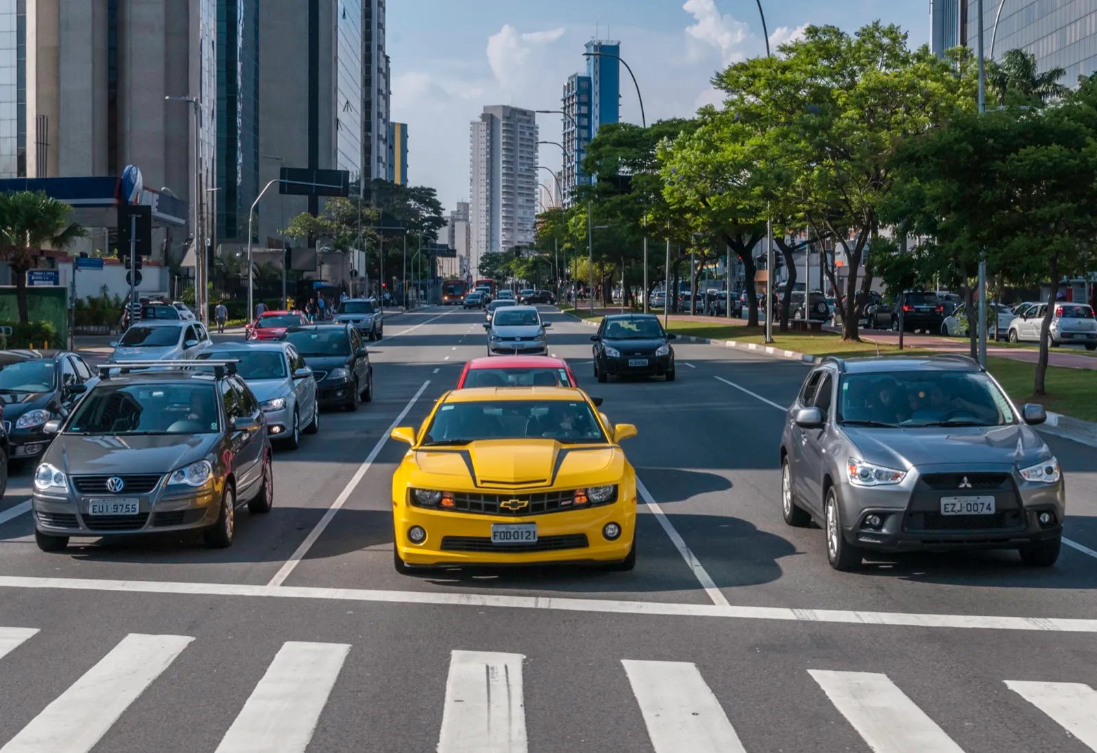 Carros parados no semáforo de uma avenida larga, cercada de prédios altos e árvores, diante de uma faixa de pedestres.