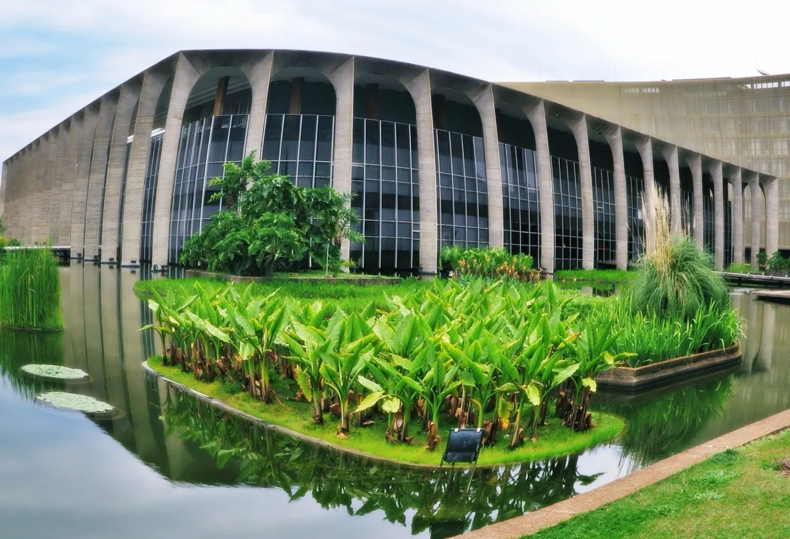 Fachada do Palácio do Itamaraty, em Brasília, com colunas de concreto, janelas de vidro e um espelho d'água com plantas no primeiro plano.